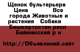 Щенок бультерьера › Цена ­ 35 000 - Все города Животные и растения » Собаки   . Башкортостан респ.,Баймакский р-н